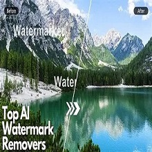 AI Video Watermark Remover Pro 1.0.3 Download