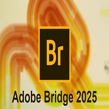 Adobe Bridge 2026 (v16.0.1.18) Download