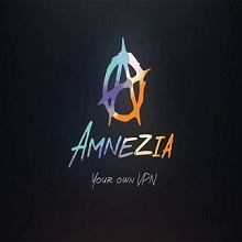 Amnezia VPN 4.8.11.4 Download