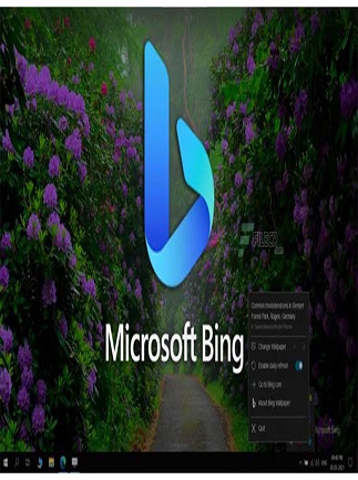 Bing Wallpaper 1.1.434.0 Download