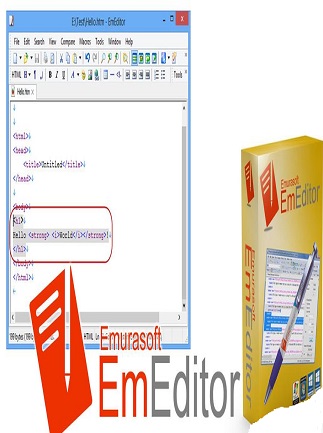 Emurasoft EmEditor Professional 25.4.3 Download