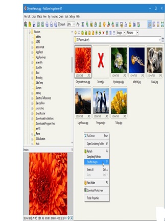 FastStone Image Viewer 8.3 Corporate Download