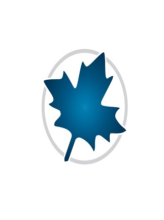 Maplesoft Maple 2025.2 Download