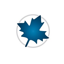 Maplesoft Maple 2025.2 Download