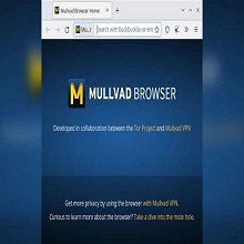 Mullvad Browser 15.0.3 (Latest 2025) Download