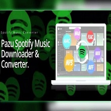 Pazu Spotify Music Converter 4.9.9 Download