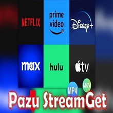 Pazu StreamGet All-In-One Video Downloader 2.8.9 Download