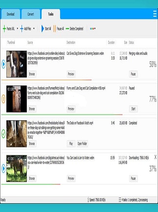 Social Media Downloader 8.0.5 Download