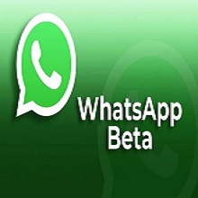 WhatsApp Beta for Windows 2.2575.60.0 Download