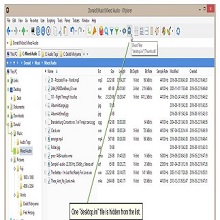 XYplorer 28.00.1200 Download