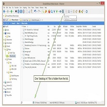 XYplorer 28.10.0100 Download