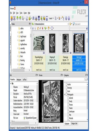 XnViewMP 1.9.6 Download